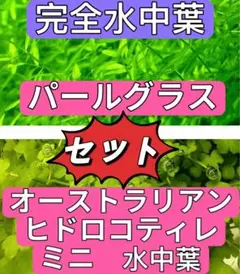 翠様 リクエスト 2点 まとめ商品