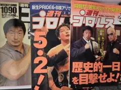 週刊プロレス 週刊ゴング 3冊セット