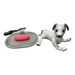 Sony aibo ERS-1000アイボリーホワイト　中古ジャンク品のサムネイル