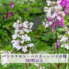 kankan様 リクエスト 3点 まとめ商品