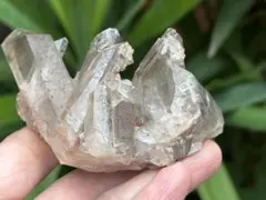 ザンビア産ライトスモーキークラスター　190g アフリカのワイルドなクラスター