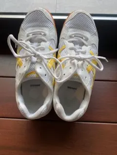 Item thumbnail for item ca1528c2-8427-4b74-abe2-5da0ee8192b3