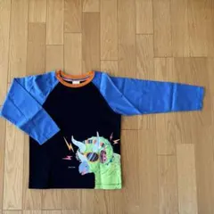 Item thumbnail for item e4d507f5-fa68-4302-b201-2c480735424a