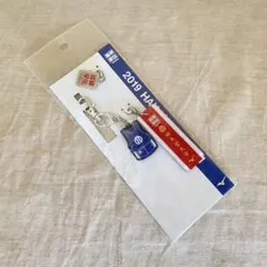 Item thumbnail for item 7e9e758f-fd68-43d9-b634-f7d0be3bd25d