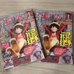 ワンピースマガジン20号 付録付き ワンピースカード 新品未開封 プロモカード付