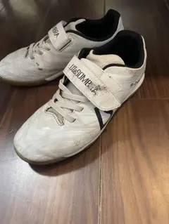 Item thumbnail for item f0f7cb5f-8674-407a-94d2-f06188e50abd