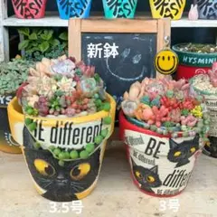 【455】リメイク鉢☆デコパージュ　Ｍサイズ植木鉢３個セット 455】リメイク鉢☆デコパージュ Mサイズ植木鉢3個セット 455