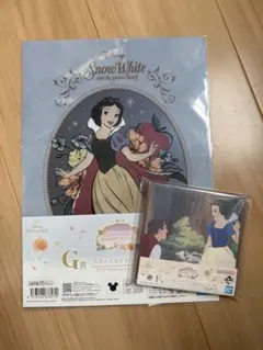 ディズニー　ドリームファイル 81TKyjCEpPL._AC_UF350,