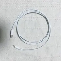 Apple USB-C to Lightning ケーブル