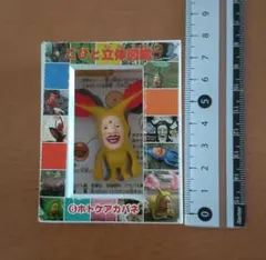 こびとづかん　ホトケアカバネ