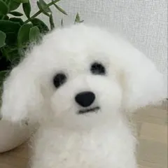 羊毛フェルト トイプードル