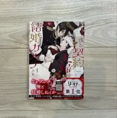 或る契約夫婦の結婚カルテ 1 - メルカリ