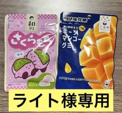 ※ライト様専用ページ※ グミまとめ売り 2袋セット　オマケ付き:飴(サイダー)
