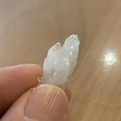 Item thumbnail for item 91895448-ab28-475c-8963-a41a245ac3d4