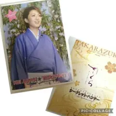 宝塚DVD 安蘭けいお茶会 さくら/シークレット・ハンター パンフレット オマケ
