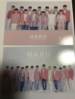 seventeen 集合 トレカ　HARU