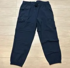 【廃盤美品】Patagonia エブリデイパンツ ネイビー　Lのサムネイル