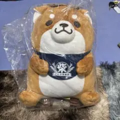 柴犬 ぬいぐるみ