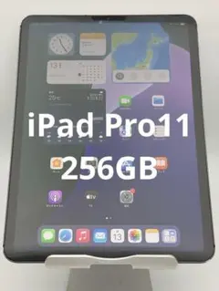 iPad Pro 11 第1世代 256GB