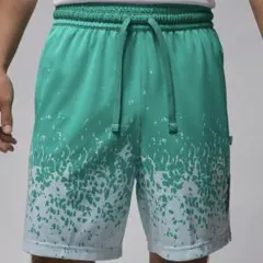 新品未使用 M ジョーダン JORDAN ショートパンツ ザイオン Zion