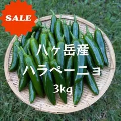長野県産 おっきなハラペーニョ 2kg以上 - メルカリ
