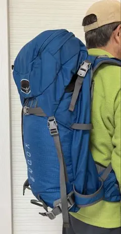 即購入⭕️ ハウスオブフォージド エクスプレス HD ピンスリーブ