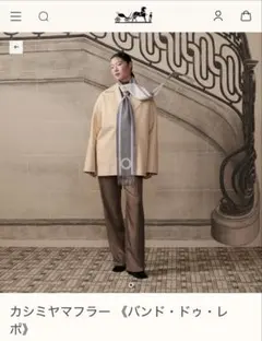 2025年最新】HERMES レディース マフラーの人気アイテム - メルカリ