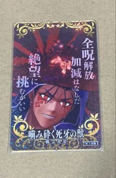 fgoac クーフーリン オルタ 最終再臨 フェイタル - メルカリ
