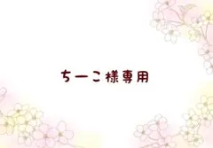 ちーこ様専用