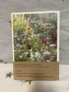 Item thumbnail for item 70cc6c0c-a7a3-44c0-90eb-8cafbbea2d54