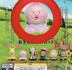 カクレモモジリ