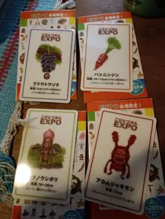 こびとづかん　EXPО会場限定　こびと大図鑑　トレーディングカード　4種