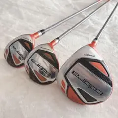 Item thumbnail for item 3934ea96-fab8-48bc-8195-671d6ef06a0b