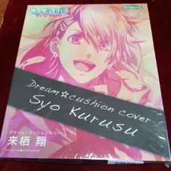 RYO NISHIKIDO BIRTHDAYLIVE 3N7 クッション 錦戸亮 - メルカリ