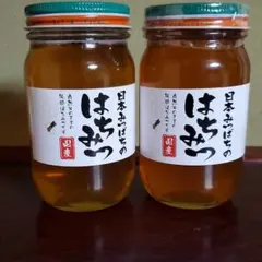 日本ミツバチ 日本蜜蜂 ニホンミツバチ 蜂蜜 580g 値下げしました