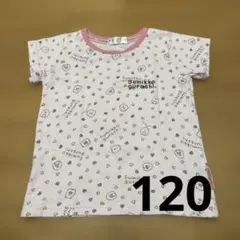 すみっコぐらし Tシャツ 120cm