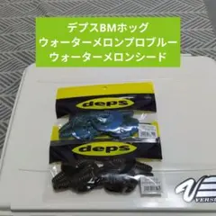 Item thumbnail for item 80e01f1f-143a-4535-96bc-04c3b437ca4b