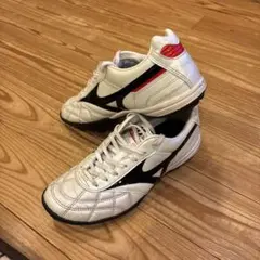 Item thumbnail for item c25c94ec-e584-4295-bc9e-62c974971164