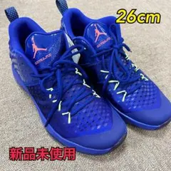 ナイキ　NIKE ジョーダン エクストラ　フライ