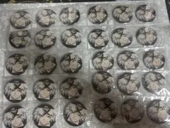 Dr.STONE ゼノ　場面写缶バッジセット　A 30個