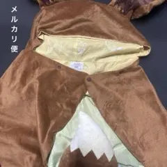 ポケモン 一番くじ ラストワン イーブイ　フード付きブランケットのサムネイル