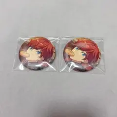 2026年最新】一彩缶バッジの人気アイテム - メルカリ