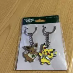 ポケモン ポケパークカントー ピカチュウ イーブイ キーホルダーセット