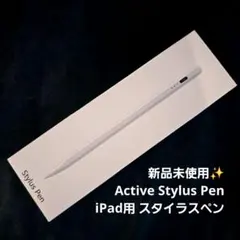 Active Stylus Pen スタイラスペン iPad Pro 新品