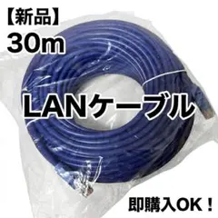 【新品】LANケーブル 30m ブルー｜即購入OK・迅速発送のサムネイル