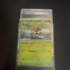 シェイミ はなのカーテン 基本鋼エネルギー プロモ