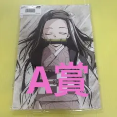 鬼滅の刃　ufotable アクリルスタンド　立志編　竈門禰豆子　A賞