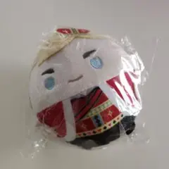 ★早い者勝ち★ 進撃の巨人 エルヴィン ふわコロりん マスコット D賞