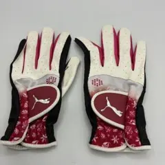 Item thumbnail for item 33a46a77-11d3-4549-9f45-52c9d59ef657