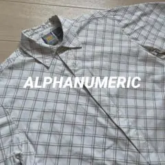 アルファヌメリック デザインチェックシャツ APE STUSSY SUPREMEのサムネイル